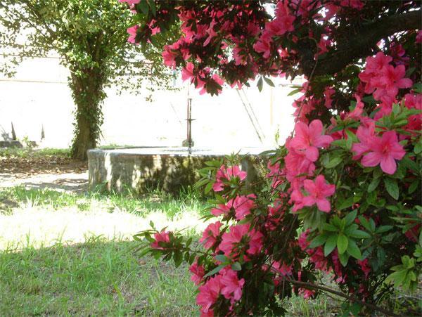 As Casinas Villa Ribadavia Bagian luar foto